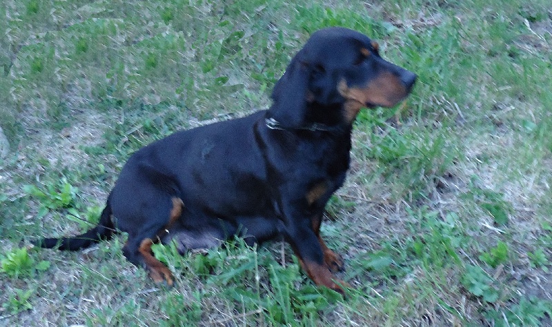 Doly de la combe des fas