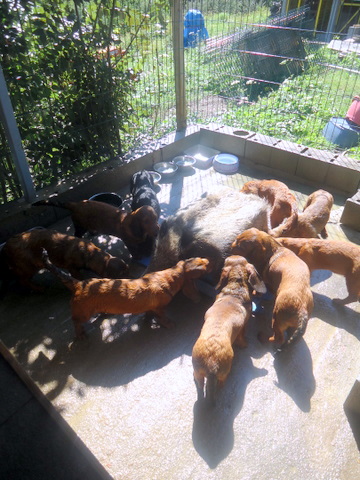 3eme mi-temps pour les petits