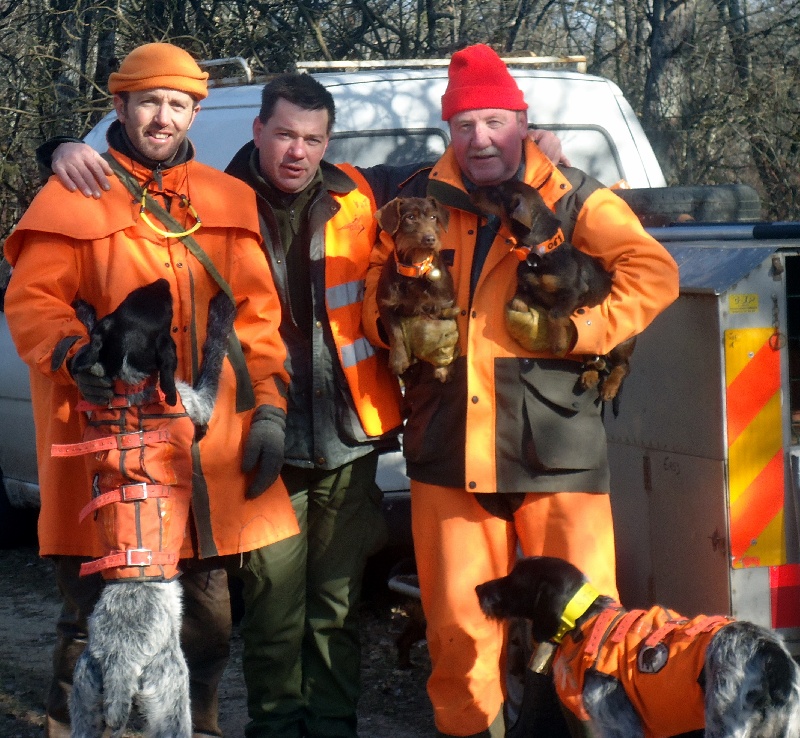 chasse a tarsul dans le 21 cote d'or